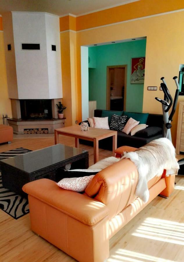 Frank Apartament *